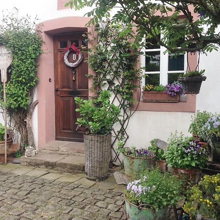 Kerpen  All Seasons Bed & Breakfast المظهر الخارجي الصورة