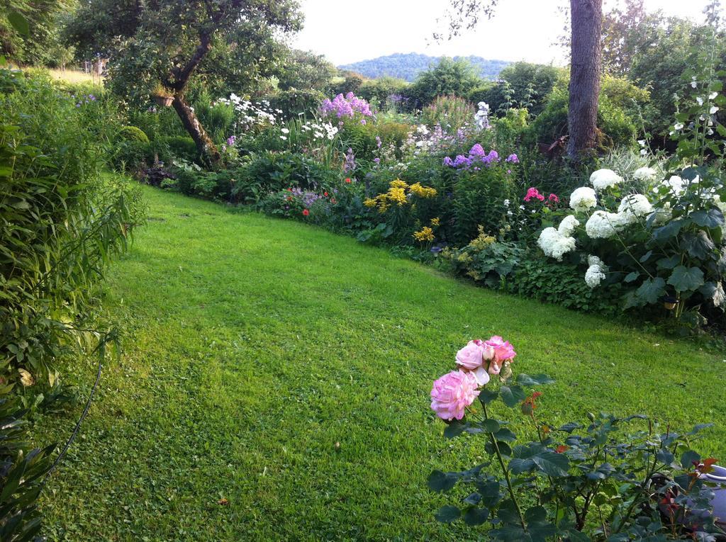 Kerpen  All Seasons Bed & Breakfast المظهر الخارجي الصورة