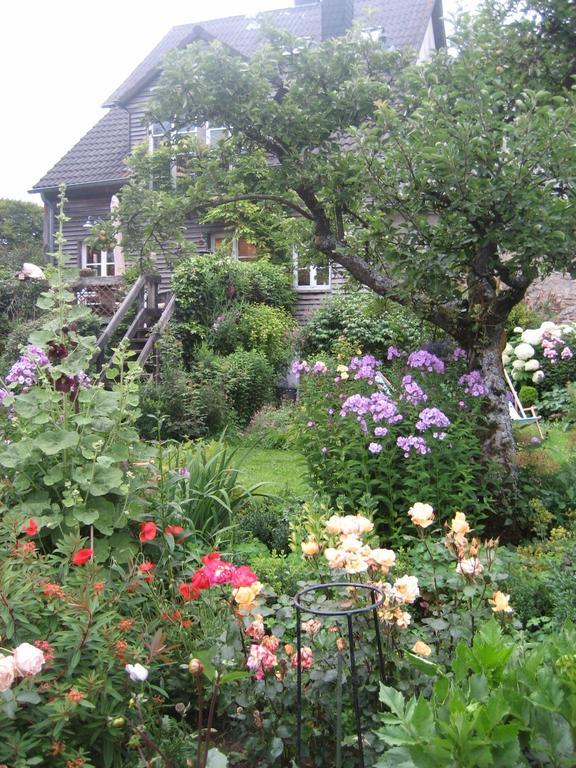 Kerpen  All Seasons Bed & Breakfast المظهر الخارجي الصورة